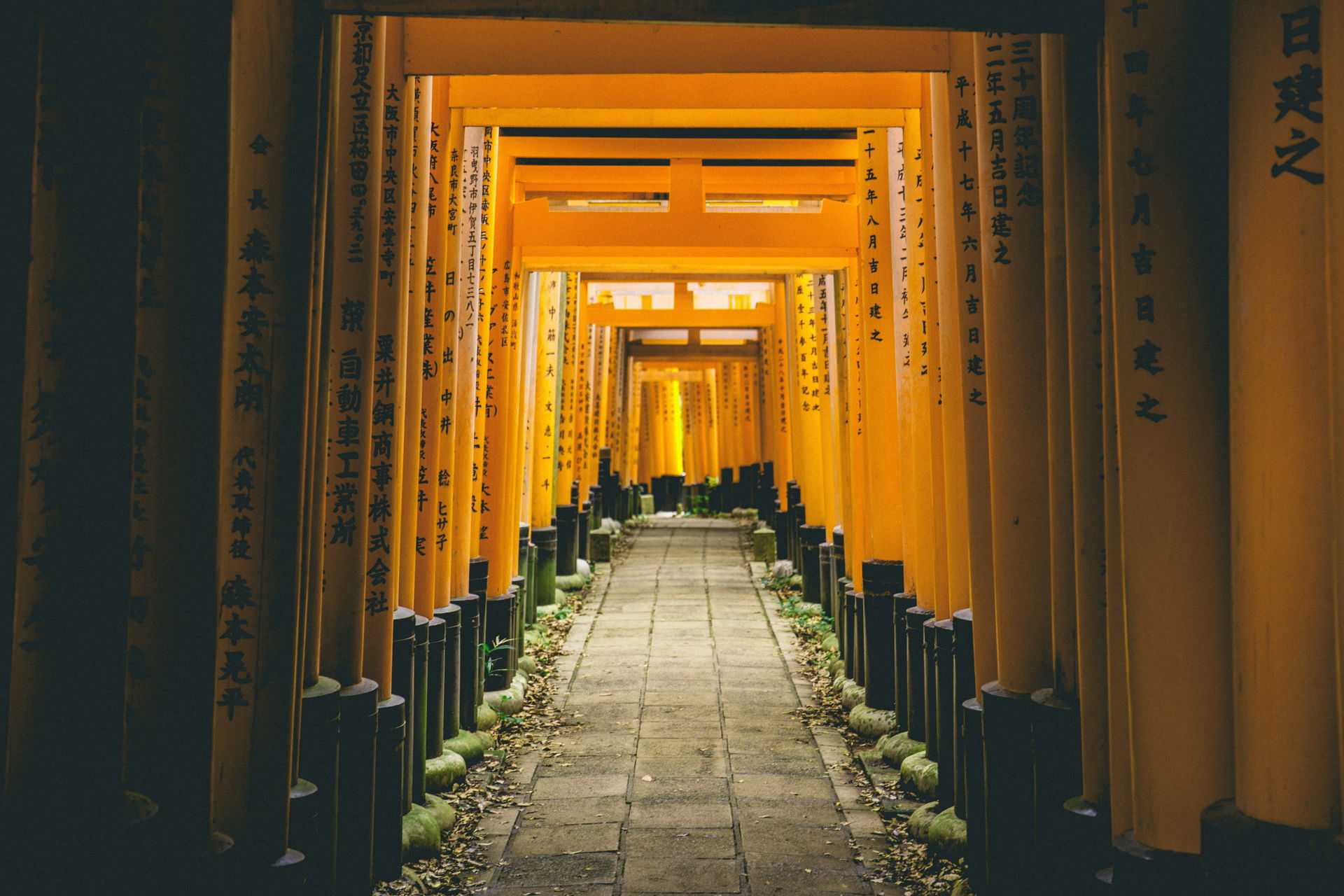 Japan Orange